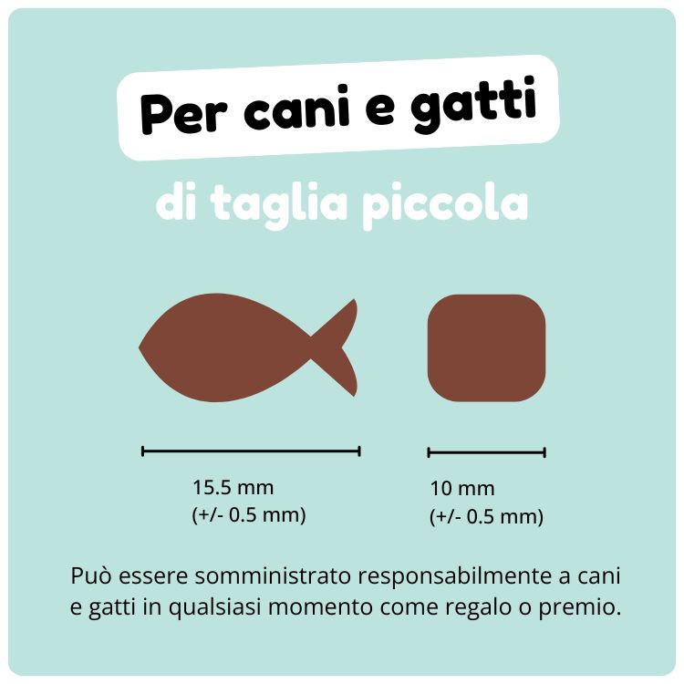 Snack Training - immagine 2