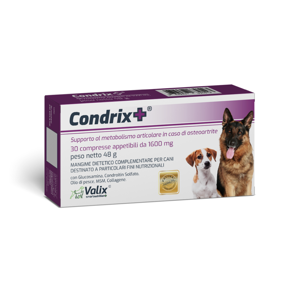 Condrix+