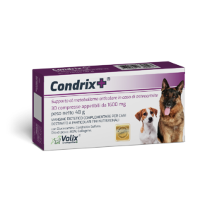 Condrix+