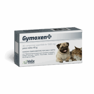 Gymoxen+