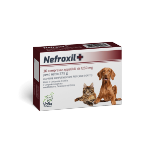 Nefroxil+