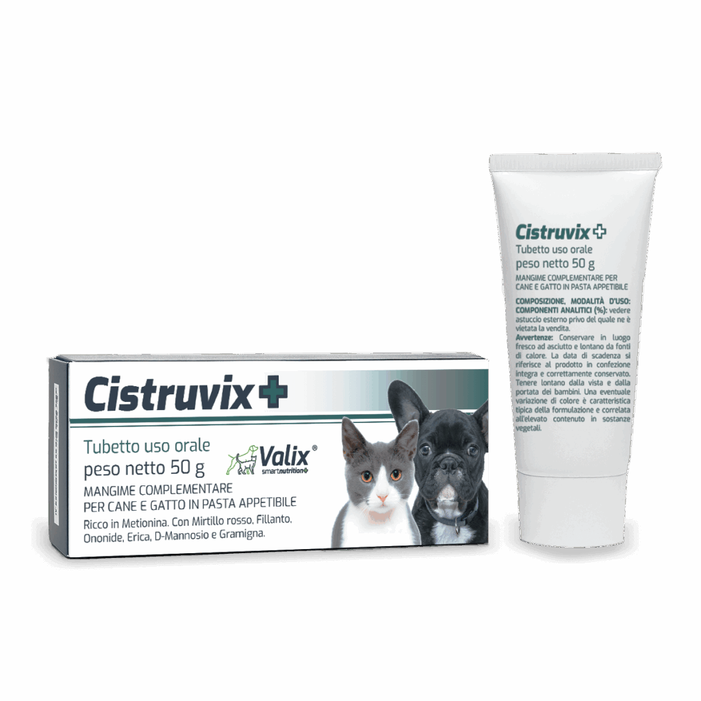 Cistruvix+ Pasta
