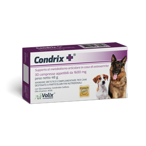 Condrix+