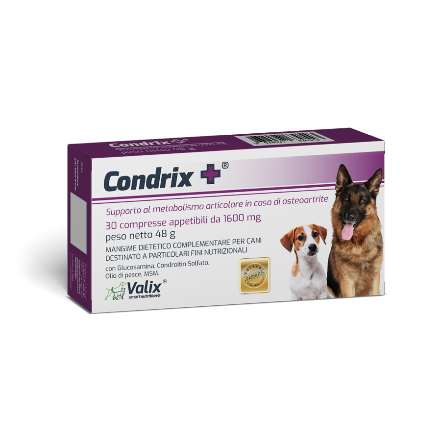 Condrix+